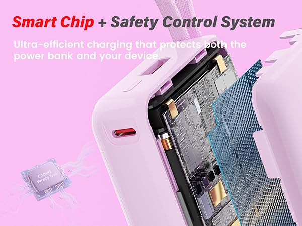 Smart Chip with safety Control System