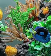 fish tank accessories