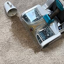 Carpet Cleaning