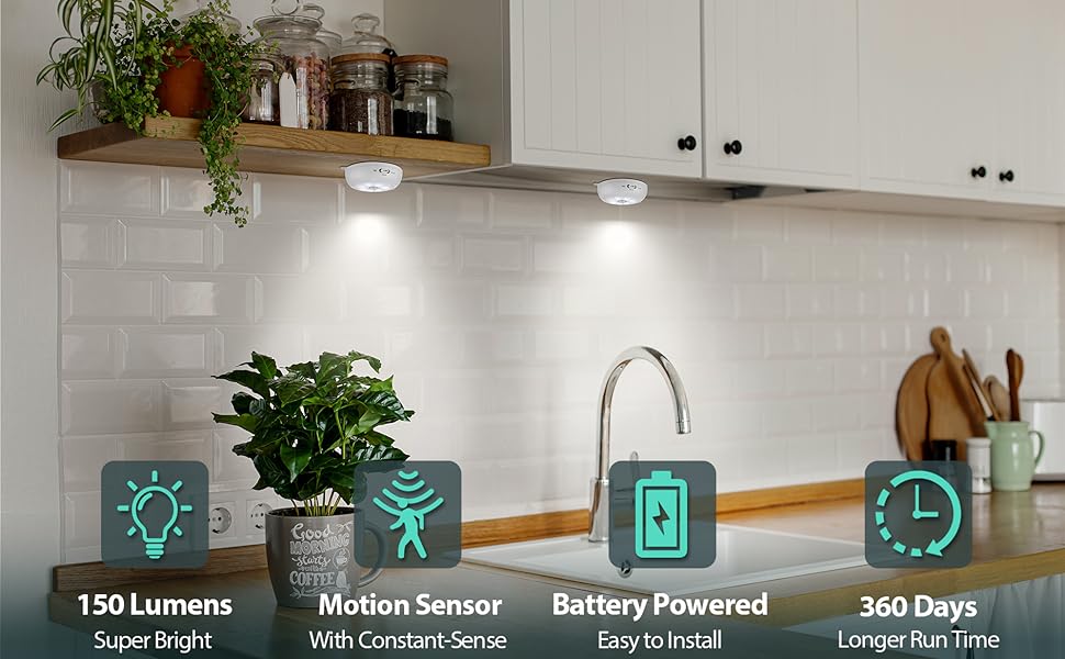 motion sensor light