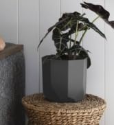 Tuxton 10-inch planter in charcoal gray color