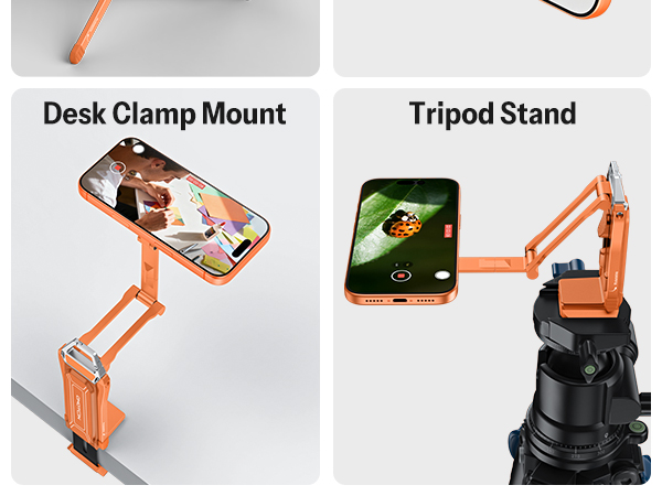 content creator essentials