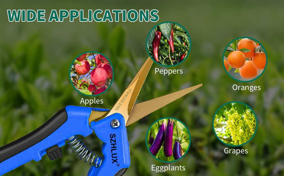 pruning scissors