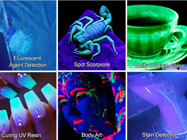 Multi-function UV flashlight