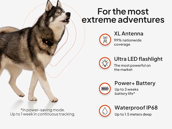 Text reads: '4L Antenna, Ultra LED flashlight, Power+ Battery Up to 3 weeks, Waterproof IP68'. Product features shown alongside image of husky dog, highlighting tracking device capabilities.