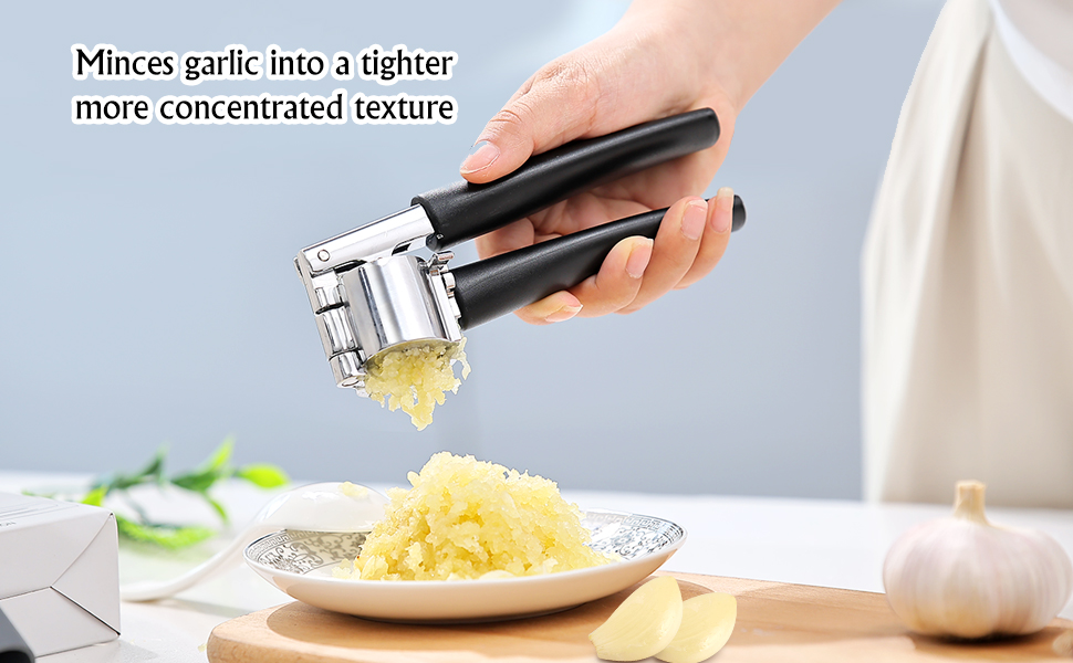 garlic press stainless steel