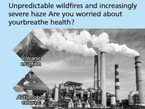 Core mini replacement filter