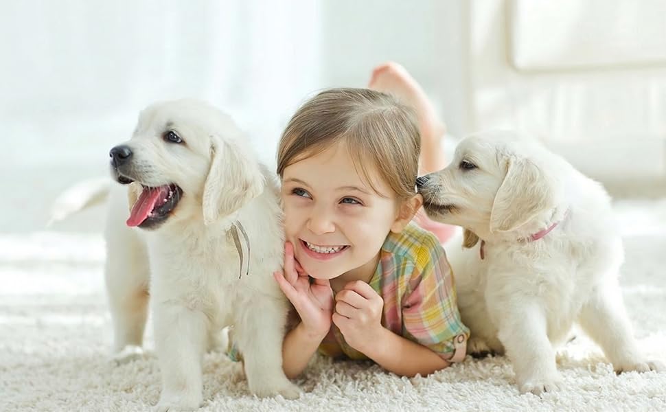 pet