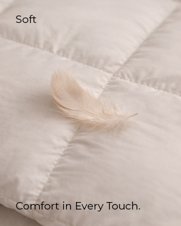 Comfort in Every Touch.