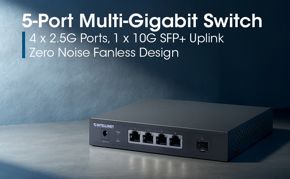 5 Port Multi-Gigabit Switch with SFP+ Uplink