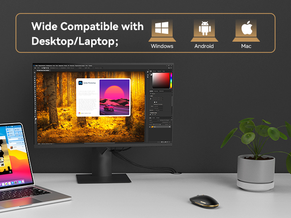 Wide Compatible