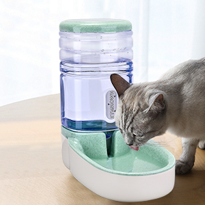 cat feeder and waterer
