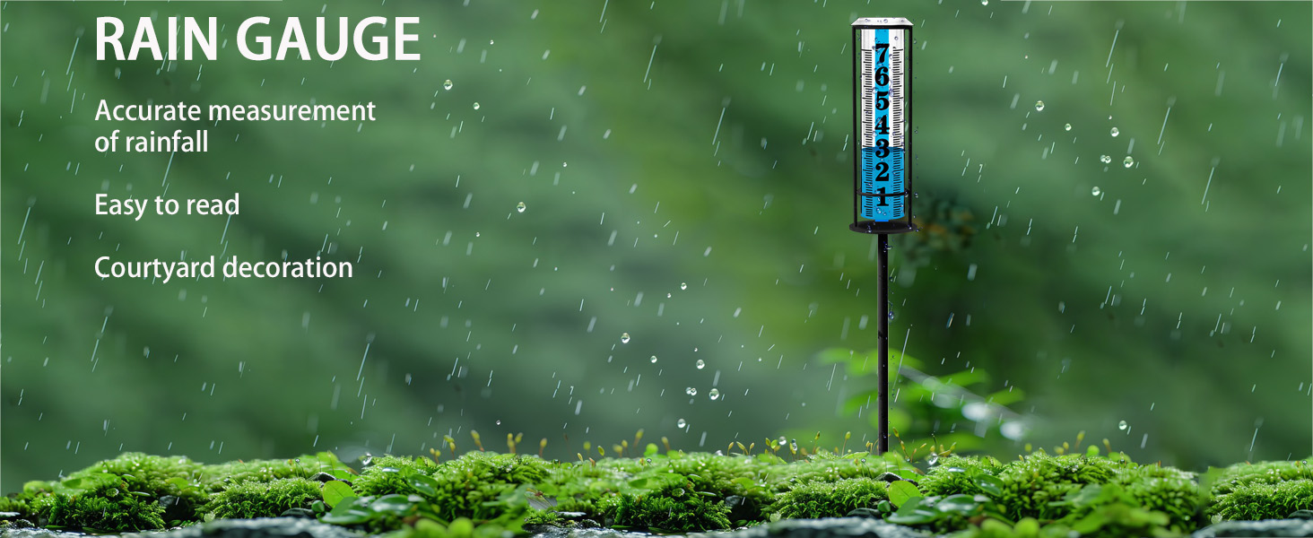 Rain Gauge