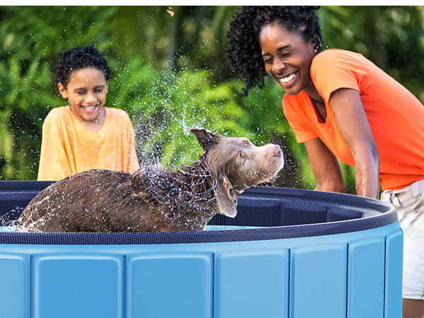 dog pool