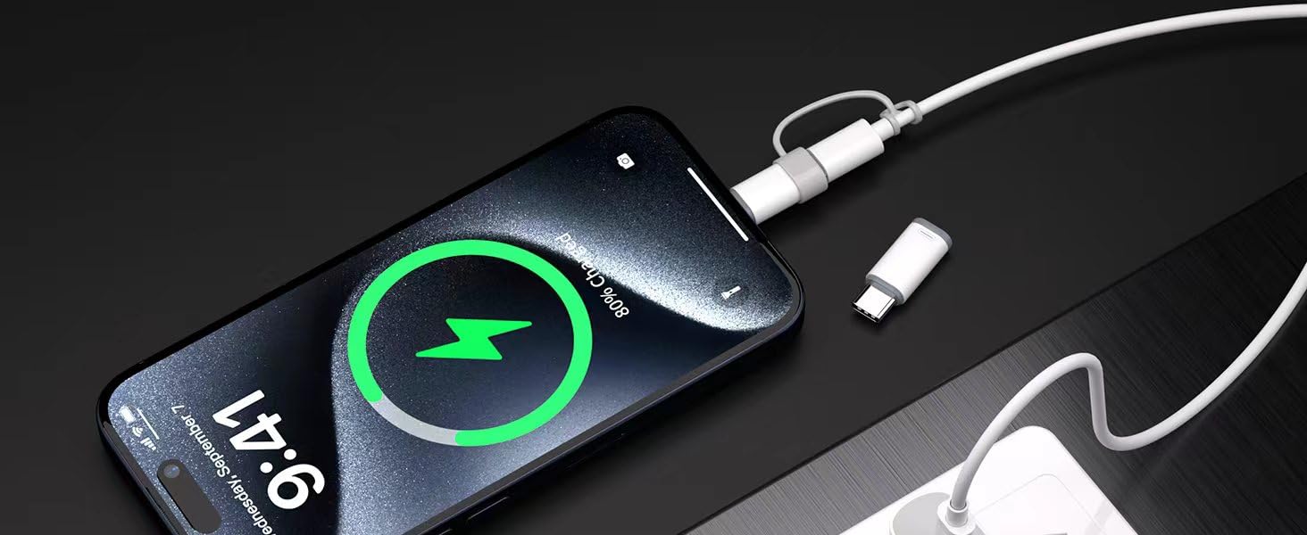 male USB C and female Lightning connectors