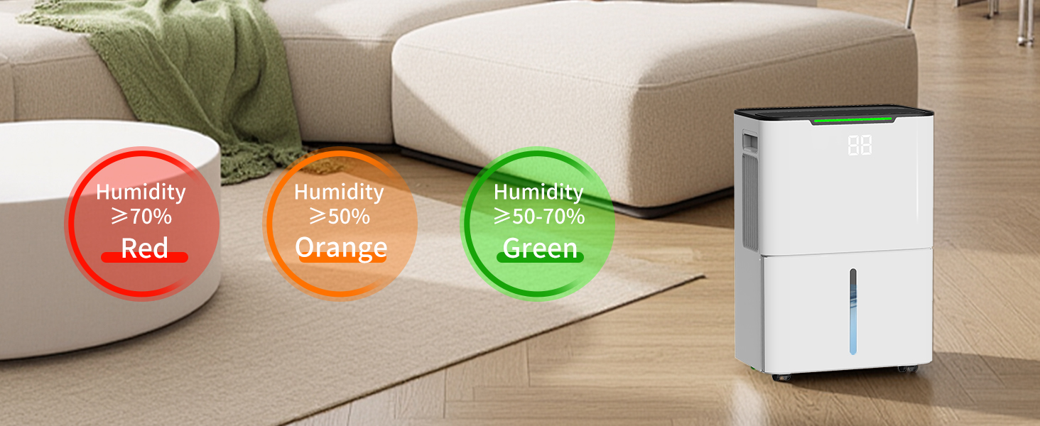 basement dehumidifier-7