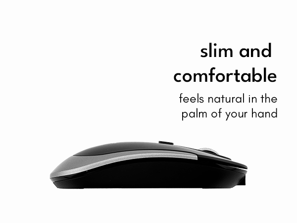 mouse