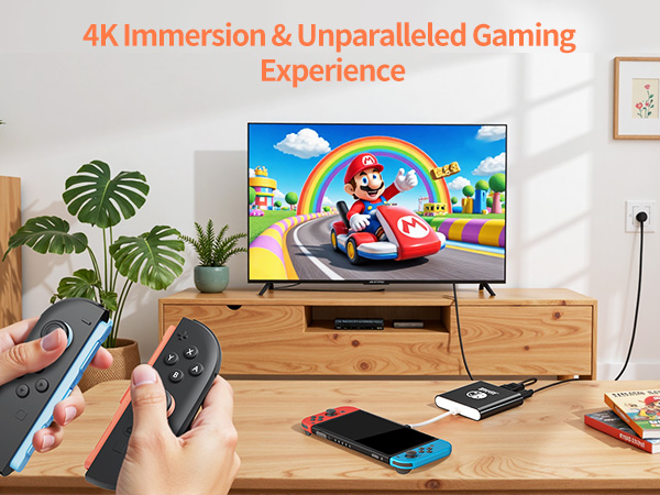 Switch Docking Station