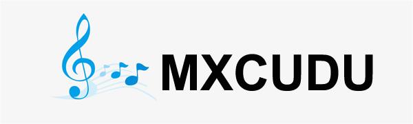 usb c to 3.5mm aux cable