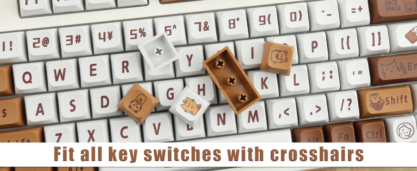 Gateron Switch 