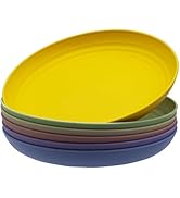 MKYHBOO Deep Dinner Plates Set, 9in Unbreakable Wheat Straw Plates, 6pcs Deep Lightweight Dinner ...