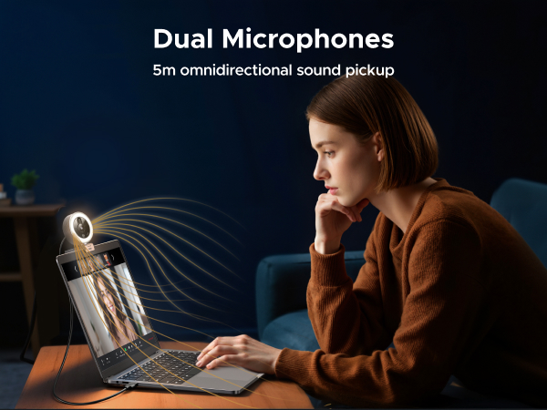 dual mic