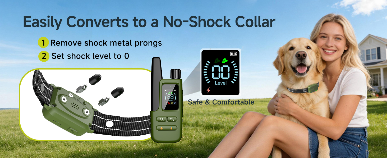 e collar for dogs training
