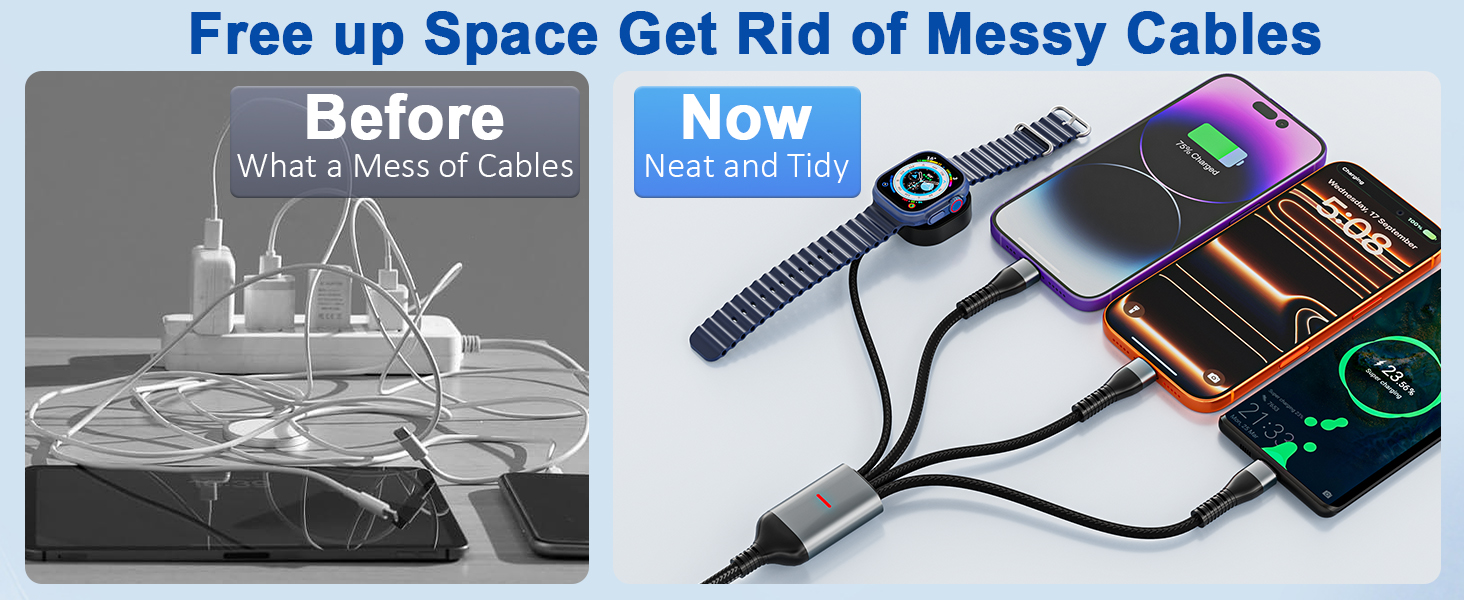 dual usb c port cable