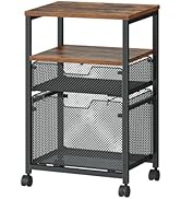 HOOBRO Rolling File Cart with 2 Storage Drawers, Under Desk Mobile Filing Cabinet on Wheels for H...