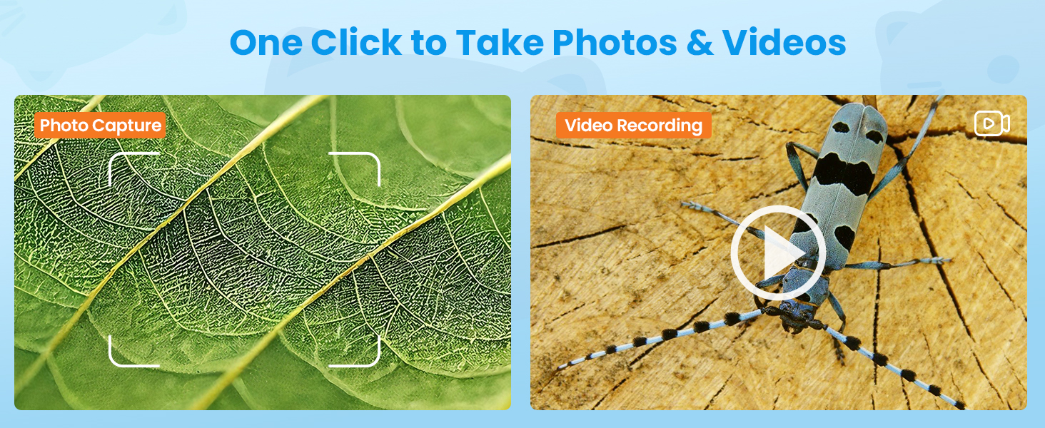 Text reads 'One Click to Take Photos &amp; Videos'. Two nature photographs showing a leaf with water droplets and an insect, with camera interface elements overlaid.