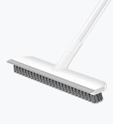 Floor Scrub Brush