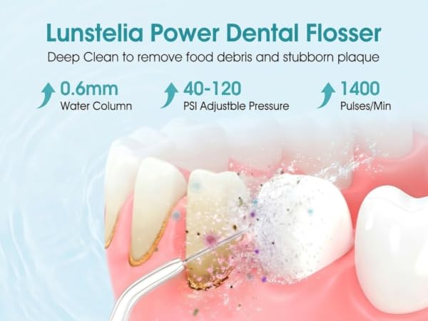 portable water flosser