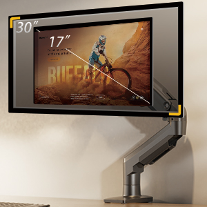 Monitor Mount