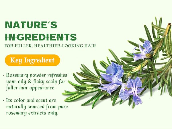rosemary shampoo bar hair growth Oily Sensitive Itchy Thinning Dandruff Prone Scalp travel size