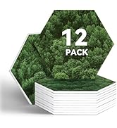 12 Pack Acoustic Panels, 12