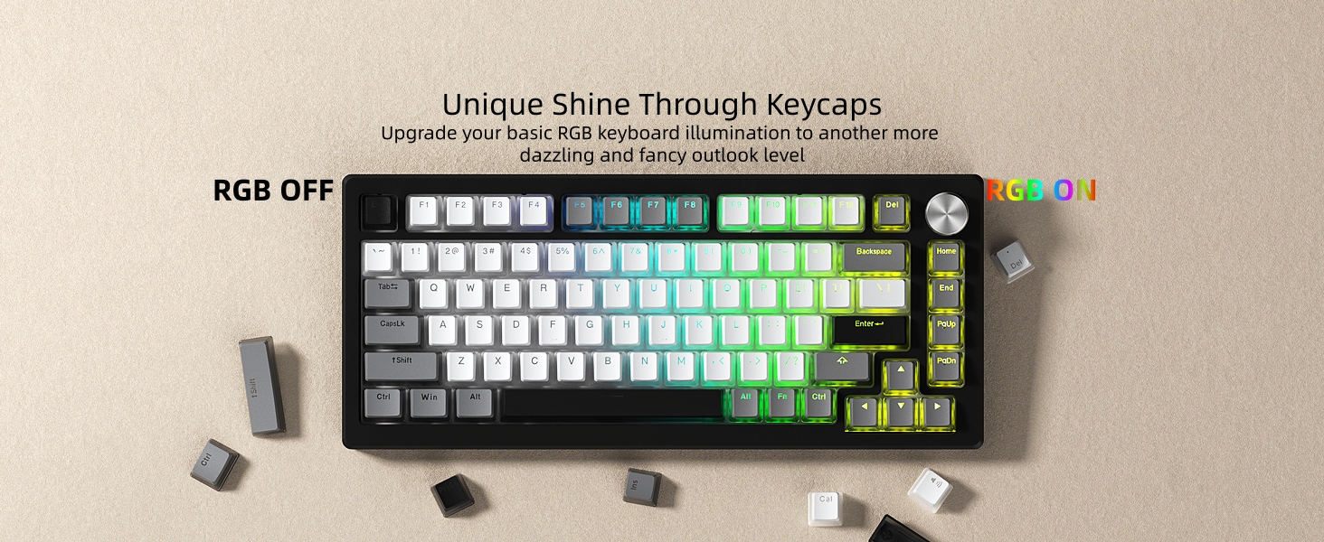 PBT Shine Through Keycaps for mechanical keyboard, Pudding Keycaps 60% 75% 100% Keyboard