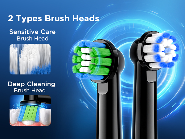 Electric Toothbrush