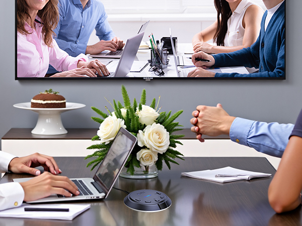 Conference microphone