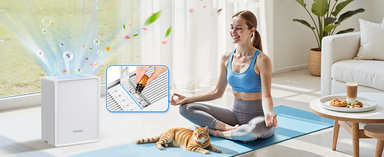 air purifiers for home