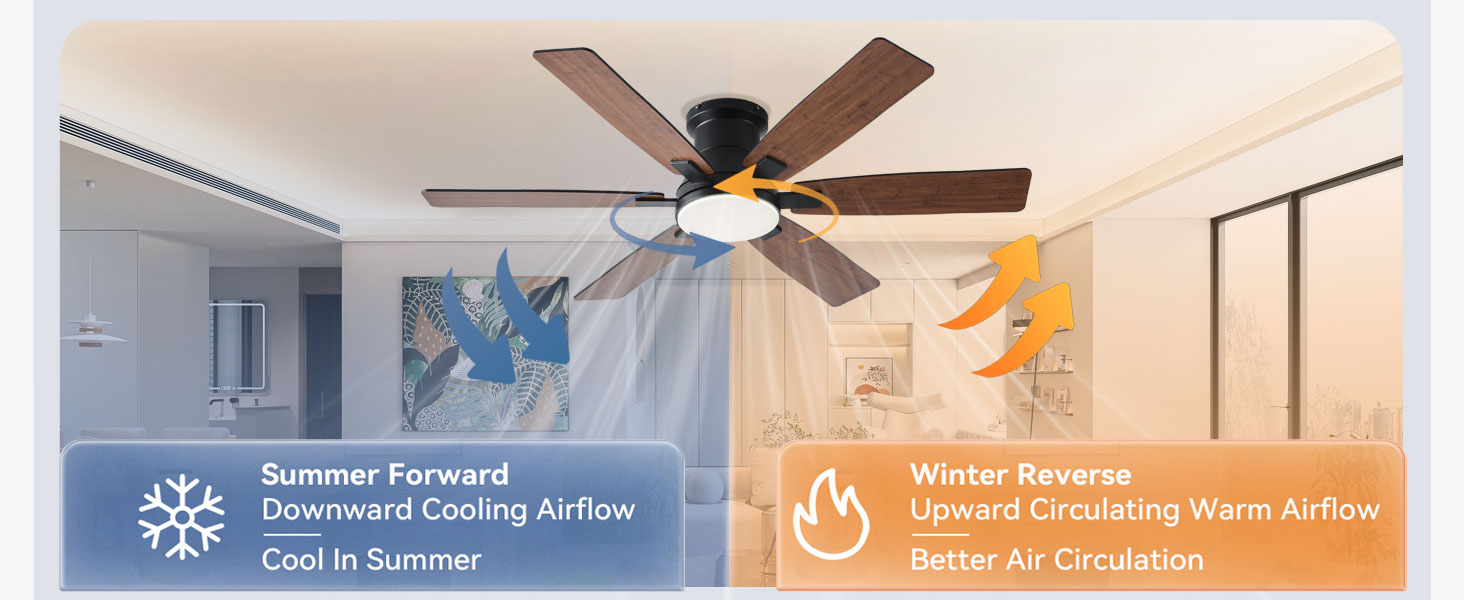 Ceiling Fans with Lights