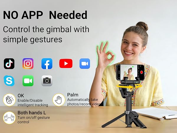 Gesture Control