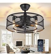 DLLT Caged Ceiling Fan with Light: 20" Farmhouse Fandelier with Lights and Remote &amp; APP - Black R...