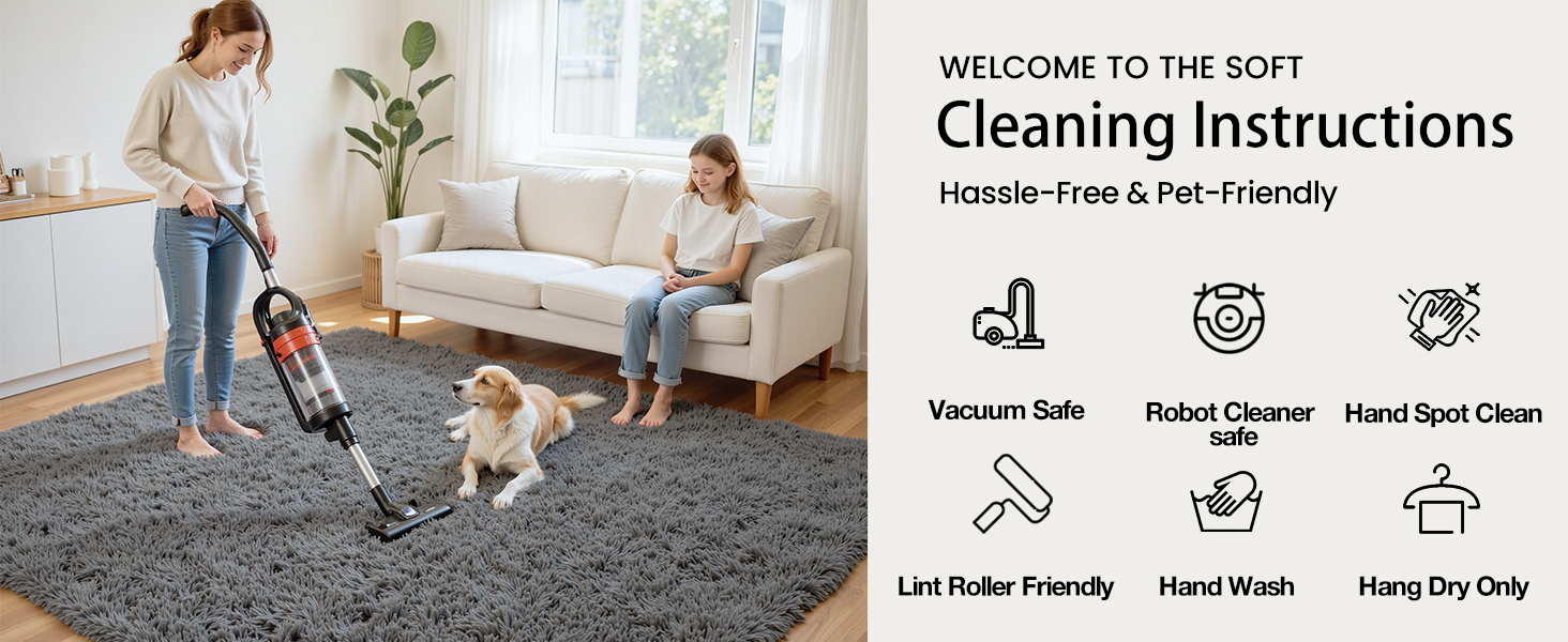 Area Rugs for Living Room
