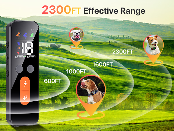 dog training collar with remote