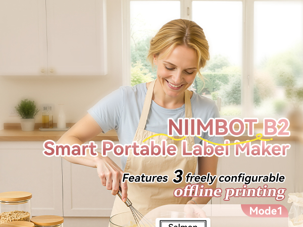NIIMBOT B2 Label Maker Machine with Tape, Portable Bluetooth Label Printer with Multiple Templates