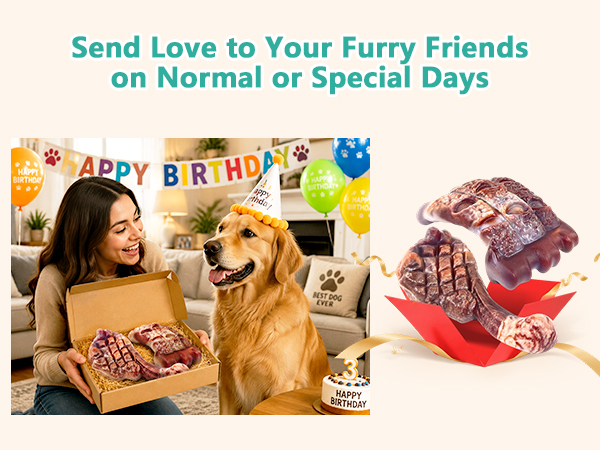 dog birthday toy