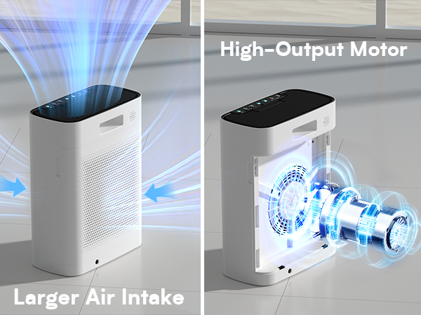 air purifier for dorm room