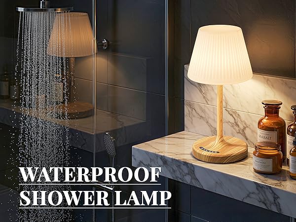 shower lamp for inside shower