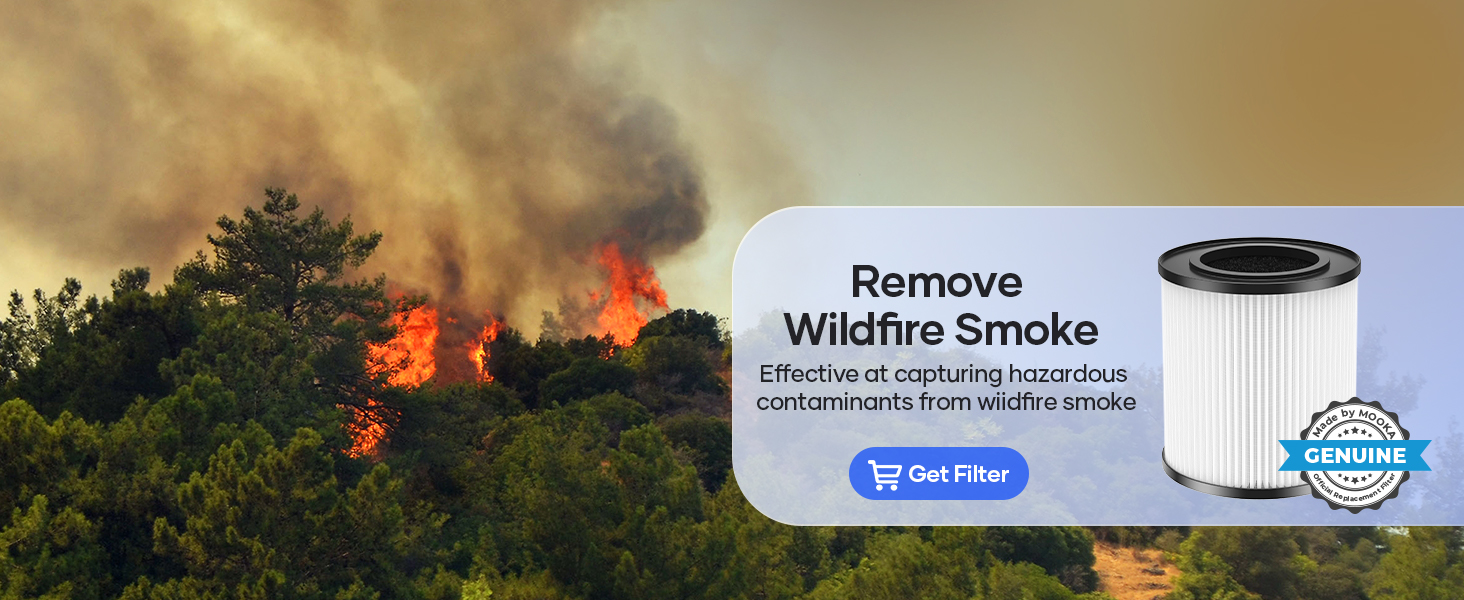 air purifiers for bedroom