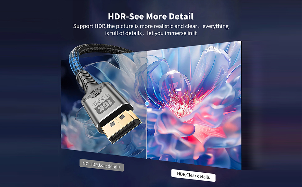 DisplayPort Cable 2.1